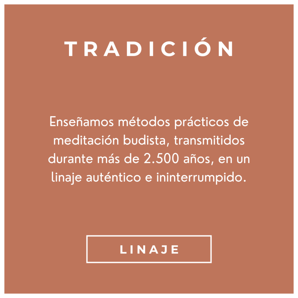clases de meditación murcia